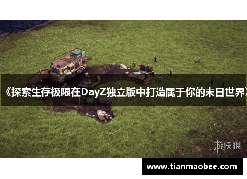 《探索生存极限在DayZ独立版中打造属于你的末日世界》