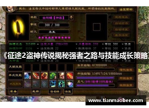 《征途2盗神传说揭秘强者之路与技能成长策略》
