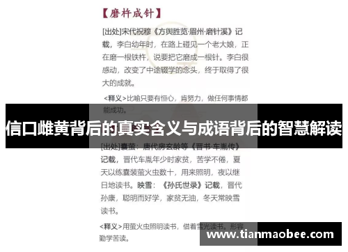 信口雌黄背后的真实含义与成语背后的智慧解读