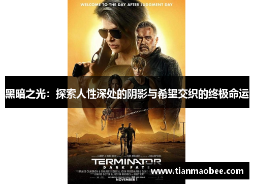 黑暗之光：探索人性深处的阴影与希望交织的终极命运