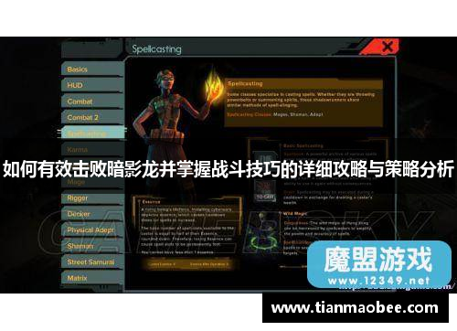 如何有效击败暗影龙并掌握战斗技巧的详细攻略与策略分析