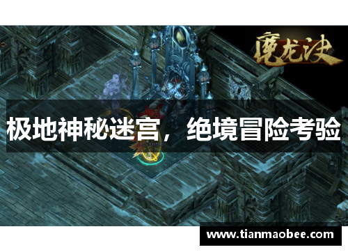 极地神秘迷宫，绝境冒险考验
